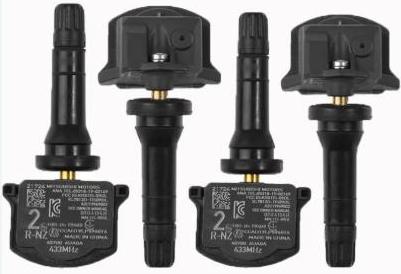 Датчик тиску в шинах, в зборі з вентилем (B) (42563)